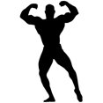 thumbnail image 2 of Muscular Body Builder Silhouette Wall Decal Sticker, Wallmonkeys Peel & Stick Vinyl Graphic (36 in H x 22 in W, 2 of 4