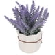 thumbnail image 5 of Mini Macetas De Plantas Artificiales, Plantas En Macetas Falsas Realistas, Decoración Del Hogar, Interior Y Exterior, 5 of 7