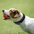 thumbnail image 3 of OULII 1Pcs for Dog Collar Black Neoprene Tracking Device for Pets, 3 of 7