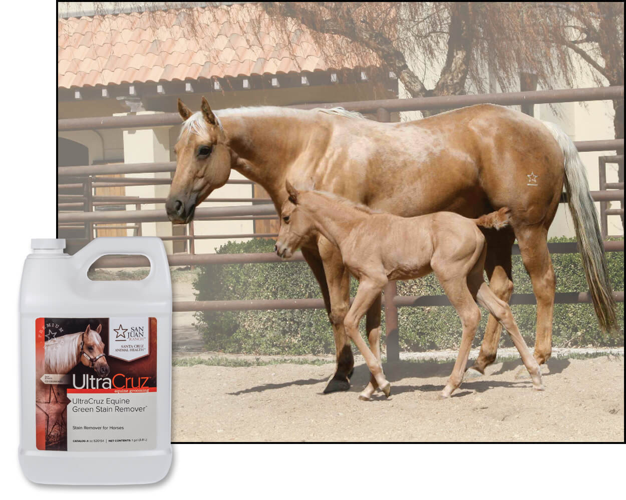 UltraCruz Equine Green Stain Remover® for Horses, 1 gal
