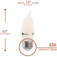thumbnail image 2 of Xtricity LED Frosted Filament Chandelier Light Bulb, 6W(60W Eqv), 3000K Soft White, 2 of 5