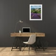 thumbnail image 3 of Steve Mohlenkamp 25x32 White Modern Wood Framed Museum Art Print Titled - Lavender bloom near Sault in the south of France, 3 of 4