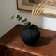 thumbnail image 4 of Jarrón de plástico negro o blanco 8,27 pulgadas centro de mesa decorativo • Forma moderna de botella redondeada • Para flores secas Plantas de pampas Decoración de oficina en casa, 4 of 6