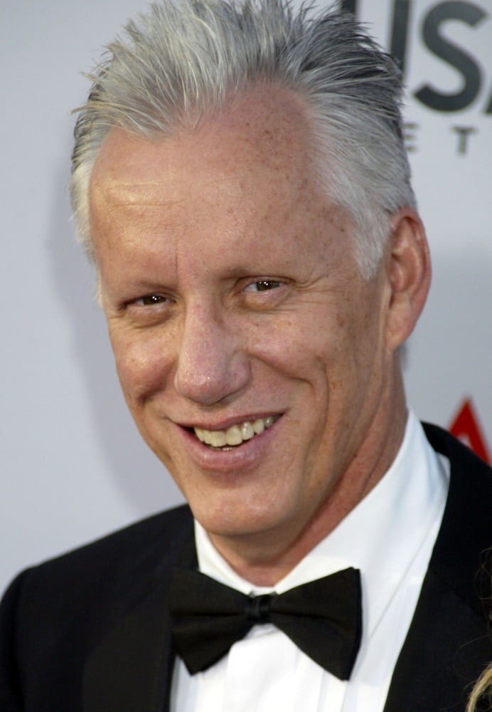 Actor James Wood Arrives At The Meryl Streep Afi Lifetime Achievement Award At Kodak Theatre