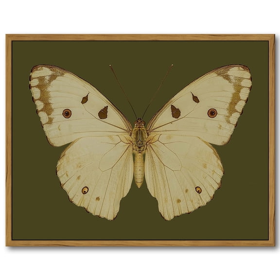 Drsoum Vintage Gold Wall Art Classical White Butterfly Paintings Small Moody Green Canvas Prints with Antique Picture Frame Victorian Wall Decor Gallery Living Room Shelf 11x14in Brown Framed
