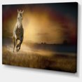 thumbnail image 2 of Cheval Galopant à Travers une Vallée - Art Mural sur Toile d'Animaux, 2 of 3