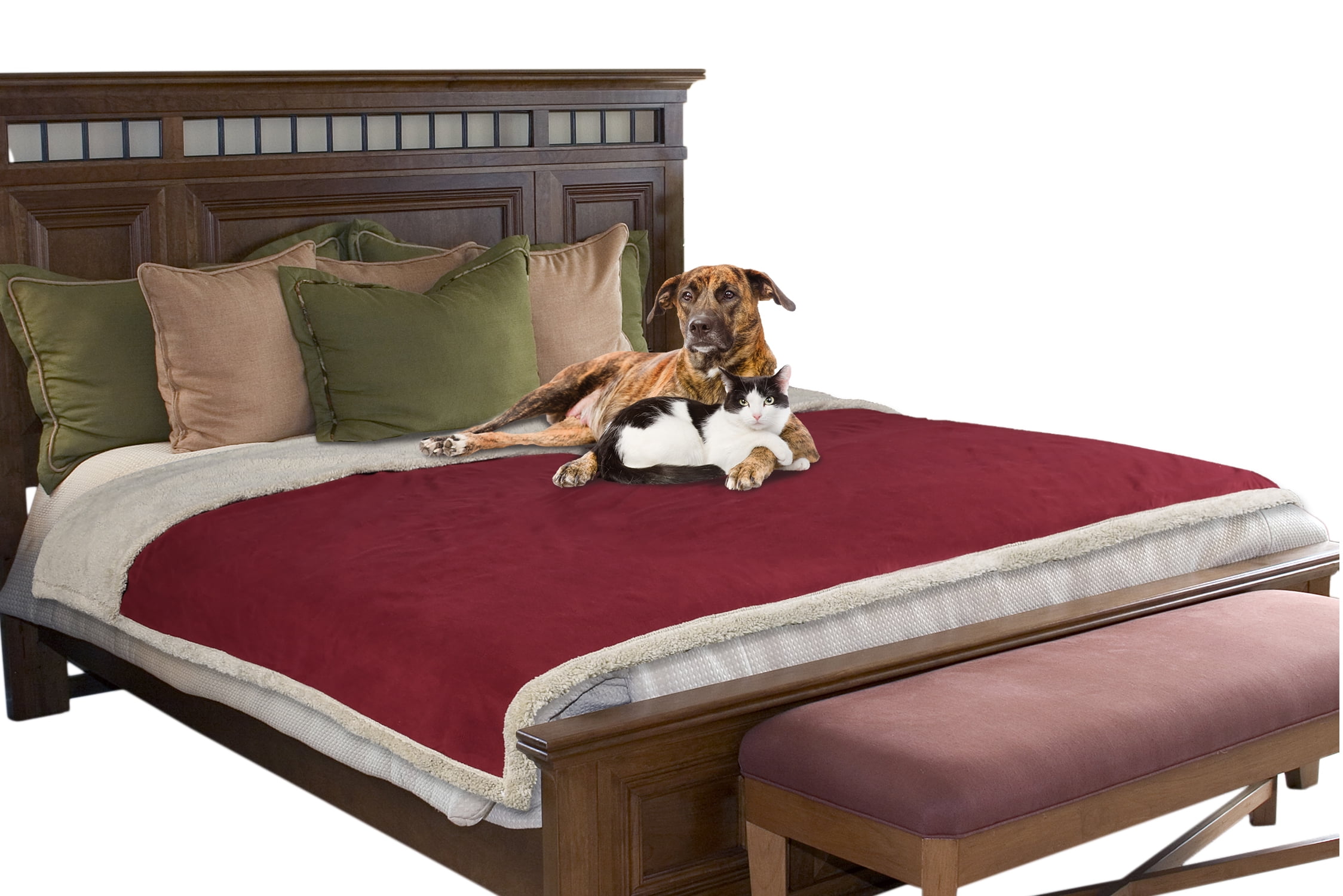 Why Does My Puppy Pee On His Blanket