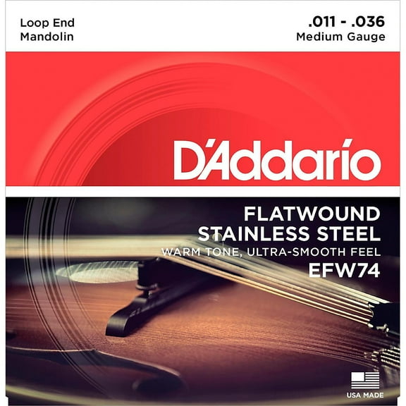 D'Addario EFW74 Flatwound Mandolin Strings, Stainless Steel, Medium, 11-36