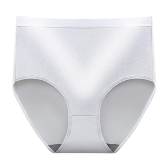 Women's High Waist Underwear Soft Brief Panties Regular and Plus Size