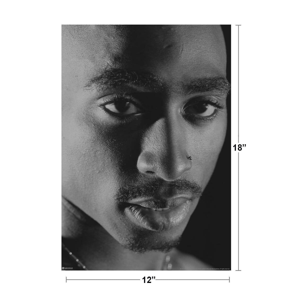 Tupac Posters 2Pac Poster Close Up Black and White 90s Hip Hop
