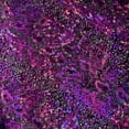 thumbnail image 2 of Snake Flocking Hologram and Glitter Nylon Spandex Fabric  | Spandex Palace, 2 of 8