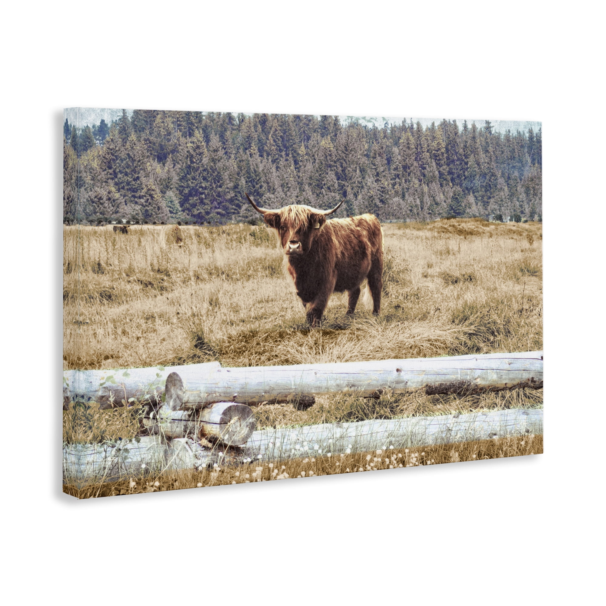 Stupell Industries Country Cattle with Fence Animals & Insects Photography Gallery Wrapped Canvas Art Print Wall Art, 36 x 24