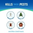 thumbnail image 5 of Cutter Essentials 32oz Area Bug Control Spray Concentrate, 5 of 13