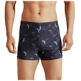 Men Shorts Men's Bathing Suits Short Mens Swim Trunks with Compression