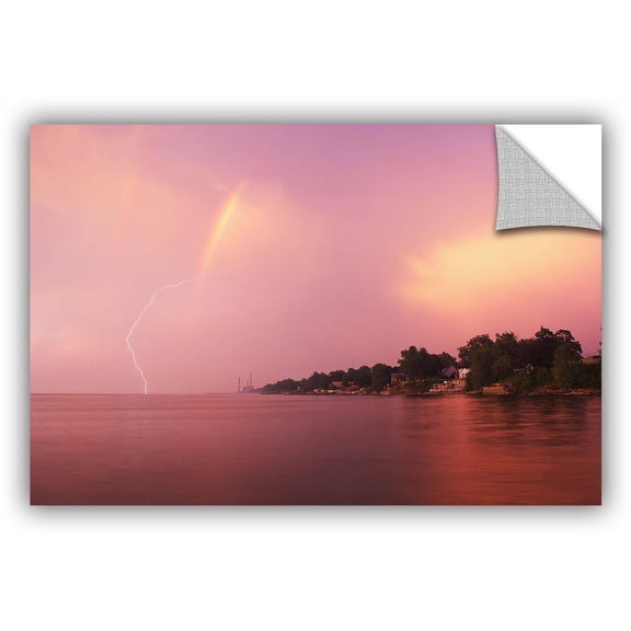 ArtWall Dan Wilson "Rainbows and Lightning" ArtAppealz Removable Wall Art