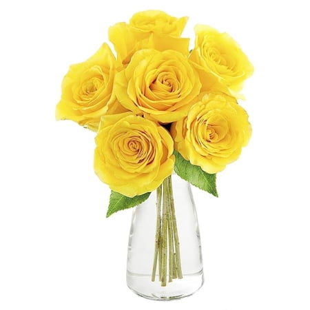 KaBloom : 6 Yellow Roses With Vase.Gift for Birthday, Sympathy, Anniversary, Get Well, Thank You, Valentine, Mother’s Day Fresh Flowers