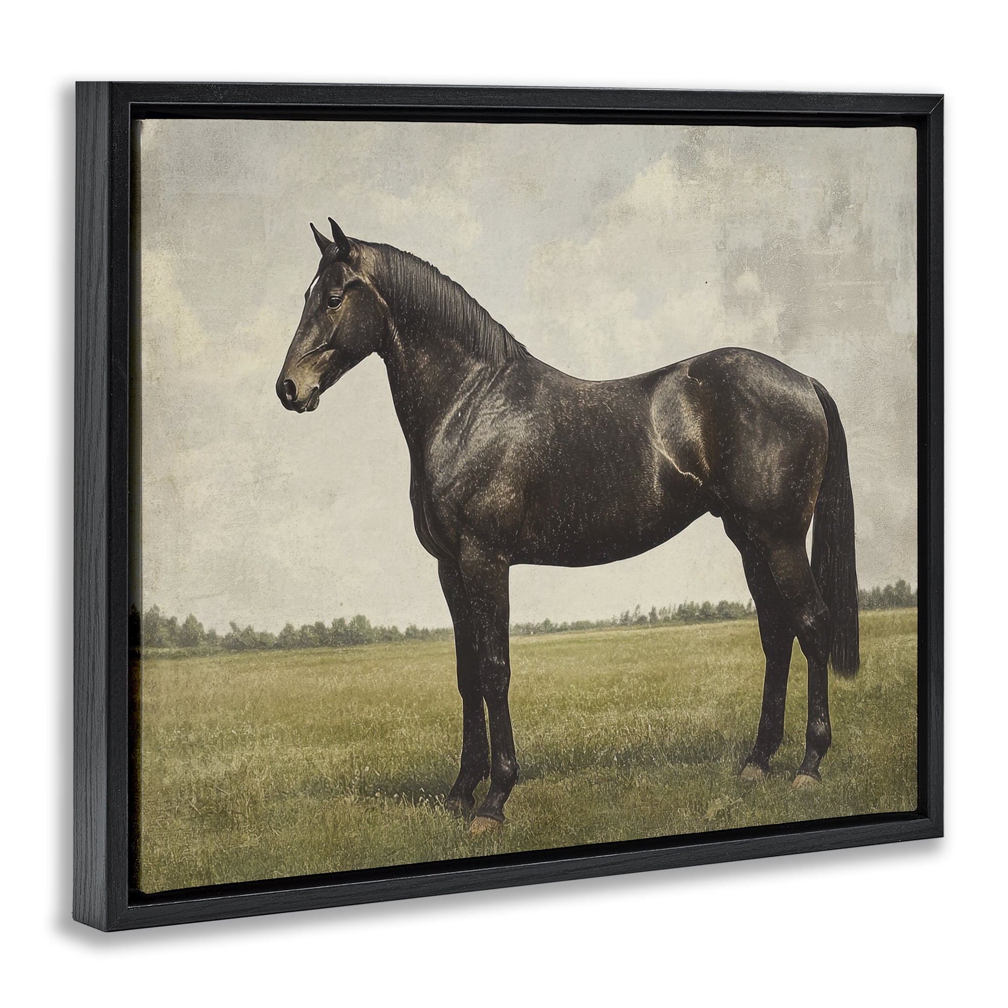 Stupell Industries Espresso Horse in Pastoral Field Black Framed Floater Canvas Wall Art, design by Petal Prints Design
