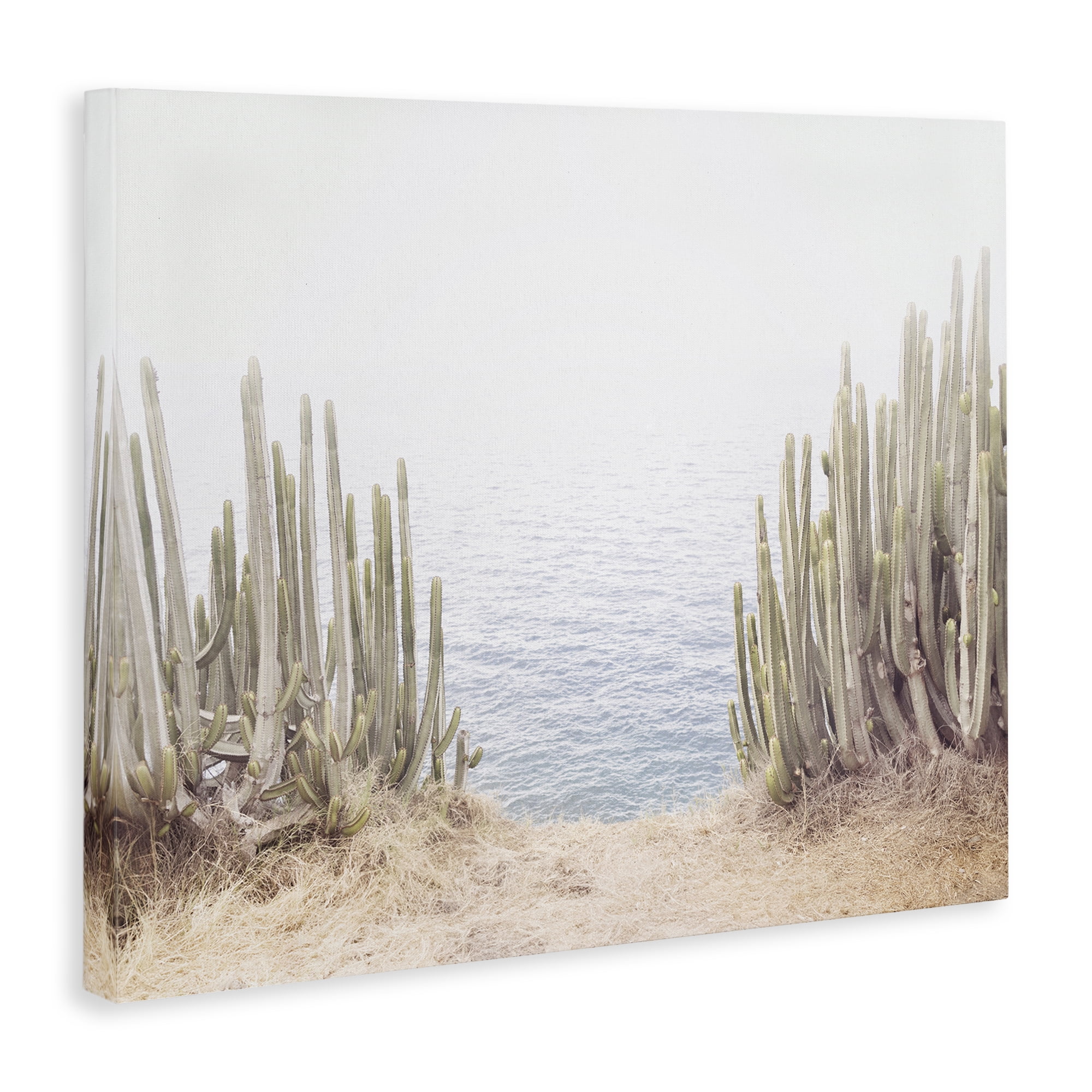 Stupell Industries Seaside Cacti Plants Nautical & Beach Photography Wrapped Canvas Art Print Wall Art, 20 x 16