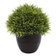 thumbnail image 2 of planta artificial decorativa con maceta negra, 2 of 5