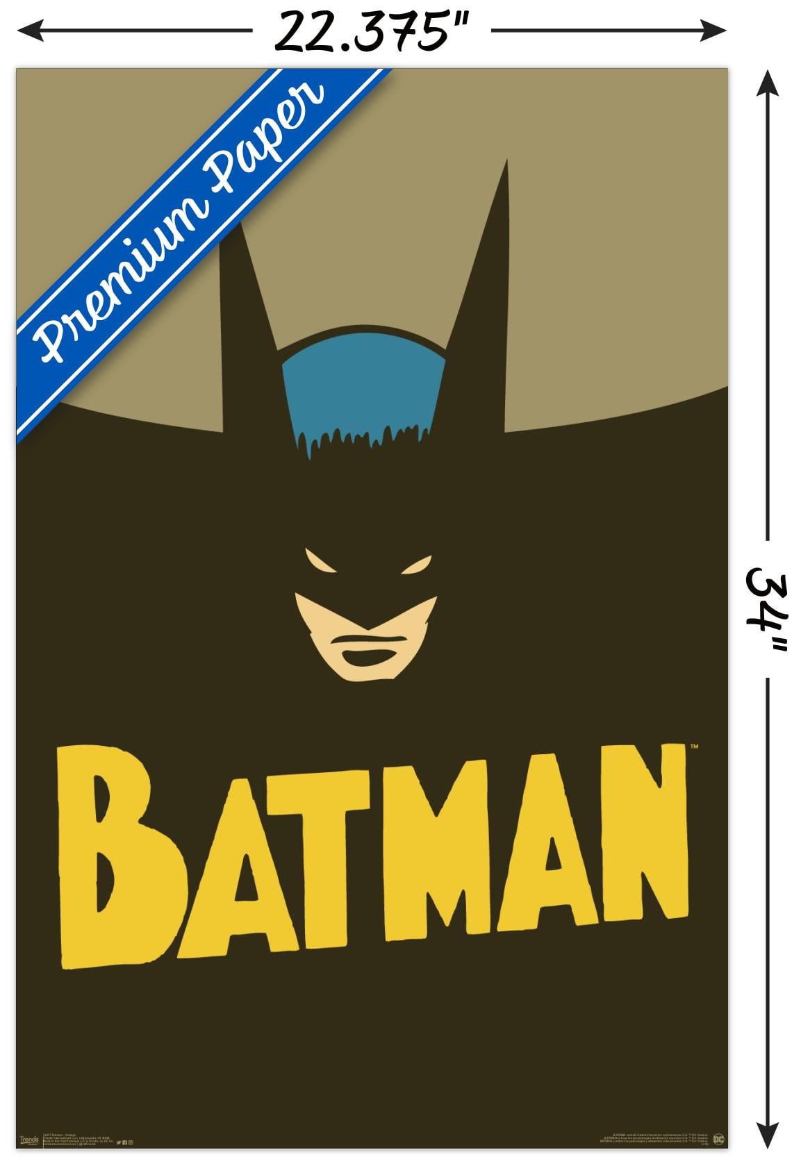 BATMAN FRAMED 3D Art 1973 NATIONAL PERIODICAL PUBLICATIONS