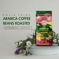 thumbnail image 2 of Amyra Farms Coffee Beans Roasted - 250 g Fresh Dark Roasted Arabica Coffee Beans | Single Origin | Specialty Whole Beans | Sun Dried, 2 of 8