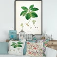 thumbnail image 2 of Designart 'Ancient Botanicals V' Farmhouse Framed Canvas Wall Art Print, 2 of 5