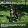 thumbnail image 5 of Balance Disc Trainer ProSourceFit Core de 14 pulgadas con bomba negra, 5 of 5