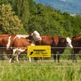 thumbnail image 4 of Electric Fence Warning Sign, 4 Pcs, Plastic Safety Sign for Farm & Home, 9.5 x 4.7 Inch, Yellow, 4 of 6