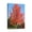 Tree (84), variant on Aesthetic 12x16 Unframed Drawing Poster - High Safety Wall Mount Prints, Perfect for Office & Kitchen Decorations and Framing as Artwork