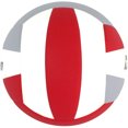thumbnail image 5 of Baden LEXUM Indoor Microfiber Volleyball - Official NFHS Approved Game Ball, Red/Gray/White, 5 of 5