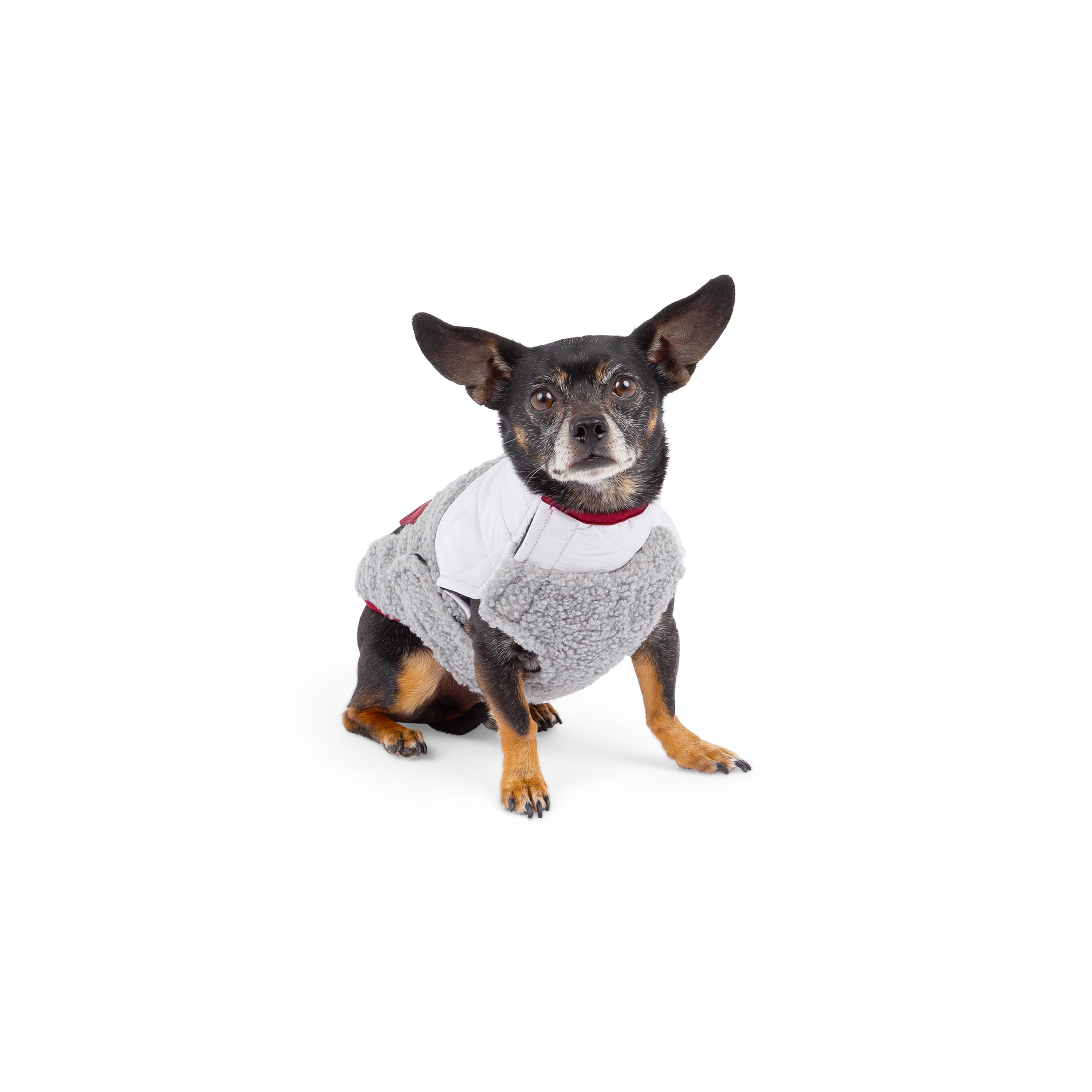 One Paw, Manteau pour Chien avec Distributeur de Sacs à Déjections