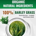thumbnail image 4 of Polvo de jugo de hierba de cebada orgánica, mezcla de superalimentos verdes para favorecer la digestión, el polvo de verduras aumenta la energía del cuerpo, 4 of 5
