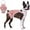 Pink, variant on Dog Diapers Dog Sanitarypanties With Suspenders Reusable Dog Diapers with Suspenders – Ideal for Puppies, Female Dogs in Heat, and Small Breeds M