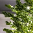 thumbnail image 4 of 7FT PE green pine instapole tree, 8775 pe tips, 800 dual warm white/multi microdot tape, 9 function & foot pedal, 4 of 4