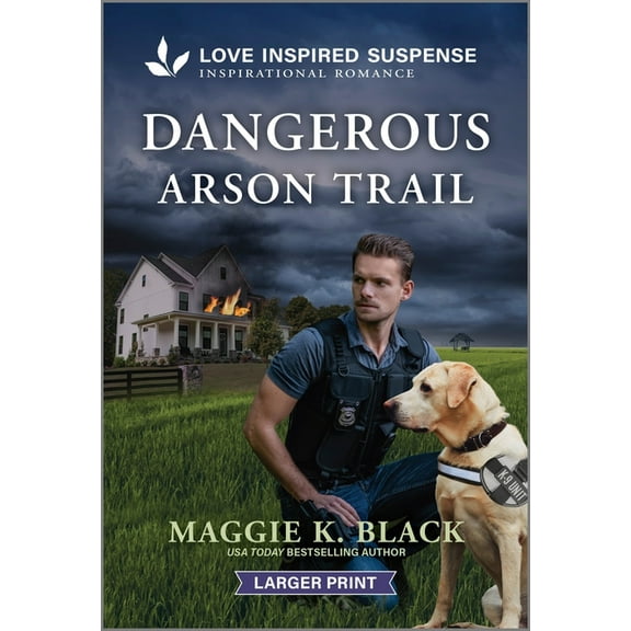 Unsolved Case Files Dangerous Arson Trail, Book 3, (Paperback)