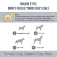 thumbnail image 3 of Pañales para perros Wegreeco para mujer, lavables, muy absorbentes, pequeños, 3 of 7