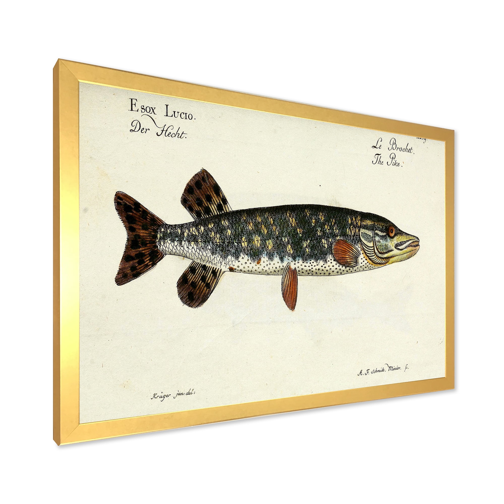 Designart 'Portrait Of A Green Fish On Beige' Nautical & Coastal Framed Art Print