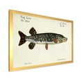 thumbnail image 2 of Designart 'Portrait Of A Green Fish On Beige' Nautical & Coastal Framed Art Print, 2 of 4