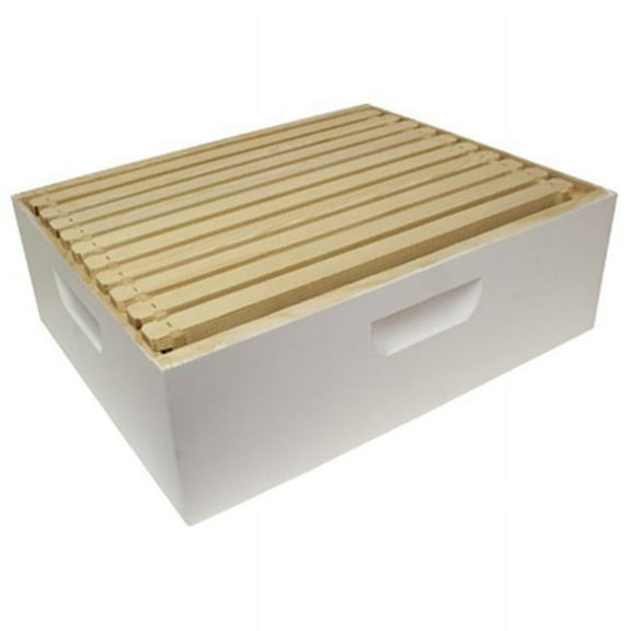 WWBCM-102 White Medium Honey Box