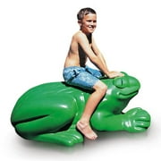 Little Tikes Frog Sculpture