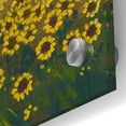thumbnail image 2 of Epic Art 'Field of Sunflowers I' by Tim O'Toole, Acrylic Glass Wall Art, 36"x36", 2 of 6
