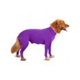 thumbnail image 1 of Couche de Base Extensible pour Chiens Moyens et Grands en Automne et Hiver, 1 of 4