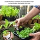 thumbnail image 3 of Suministros Hidropónicos, Kit De Cápsulas Hidropónicas De Turba De Plástico Sin Suelo Ecológico Con Cestas Y Cúpulas Para Frutas, 3 of 7