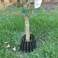 thumbnail image 4 of Plant Knight Tree Trunk Guard Protector for Garden Protection, 6 Pack (Orange), 4 of 9
