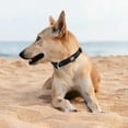 thumbnail image 6 of azuza Reflective Dog Collar Super Soft Neoprene Padded Dog Collars with ID Tag Ring for Small Medium Large Dogs, 6 of 7