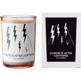 thumbnail image 2 of D.S. & Durga Concrete After Lightning by DS & Durga for Unisex - 7 oz Candle, 2 of 4