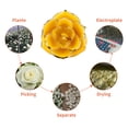 thumbnail image 5 of Regalo de flor de rosa recortada en oro de 24 quilates de tallo largo con soporte de exhibición transparente (amarillo), 5 of 5