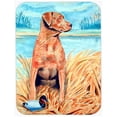 thumbnail image 1 of Planche à Découper en Verre Chesapeake Bay Retriever - Grande et Grande; 15 x 12 Po., 1 of 1