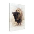 thumbnail image 2 of Trademark Fine Art David Drost Standing Buffalo II Canvas Wall Art, 2 of 4