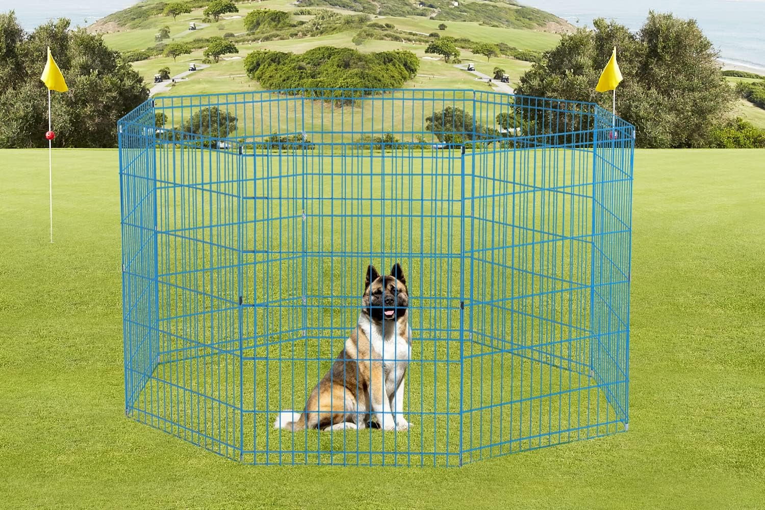 Bestpet blue Dog Playpen Crate Fence Exercise Cage, 8 pan, 36"